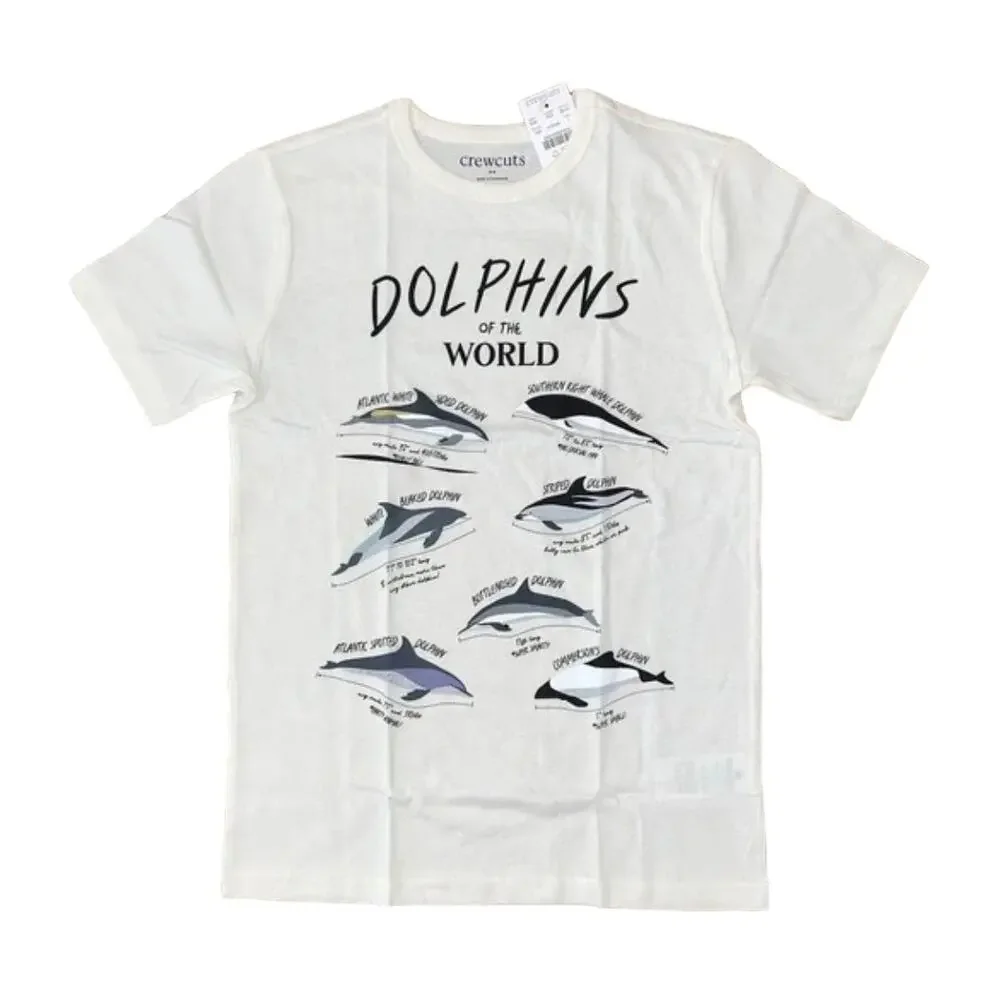 NWT J. Crew Boys' Ivory W/Dolphin Graphic Crewneck Tee